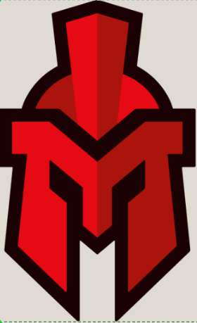 Medium Sentinels Helmet Logo Customization